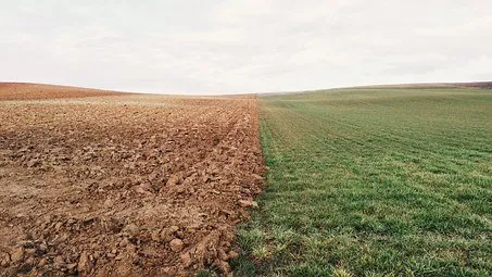 Rubrik_Landwirtschaft_Naturschutz_-_Boden-farmland-801817__340